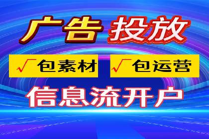 某电商平台的SEM策略与效果展示